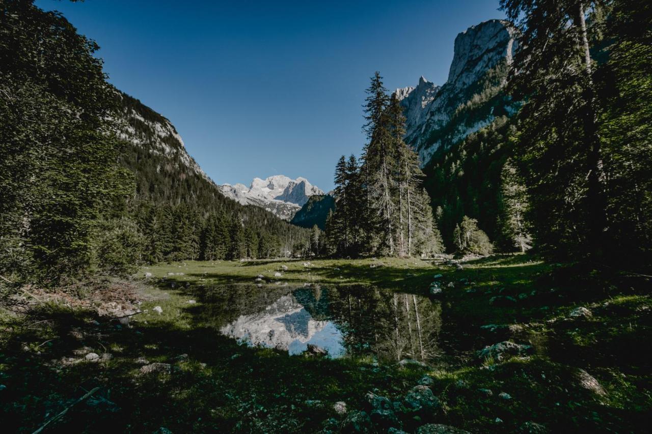 Hotel Sommerhof Gosau Ngoại thất bức ảnh
